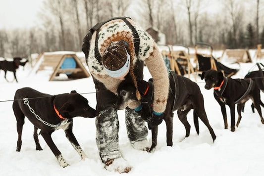 The History of the John Beargrease Sled Dog Marathon