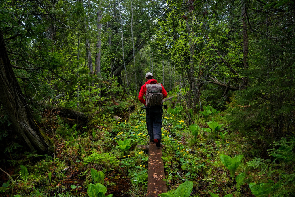 Father's Day Gift Guide