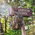 A vintage-style canvas backpack with brown leather straps and gold-toned hardware hangs from a wooden trail sign that reads 'LAURENTIAN DIVIDE' in a sunlit forest setting.