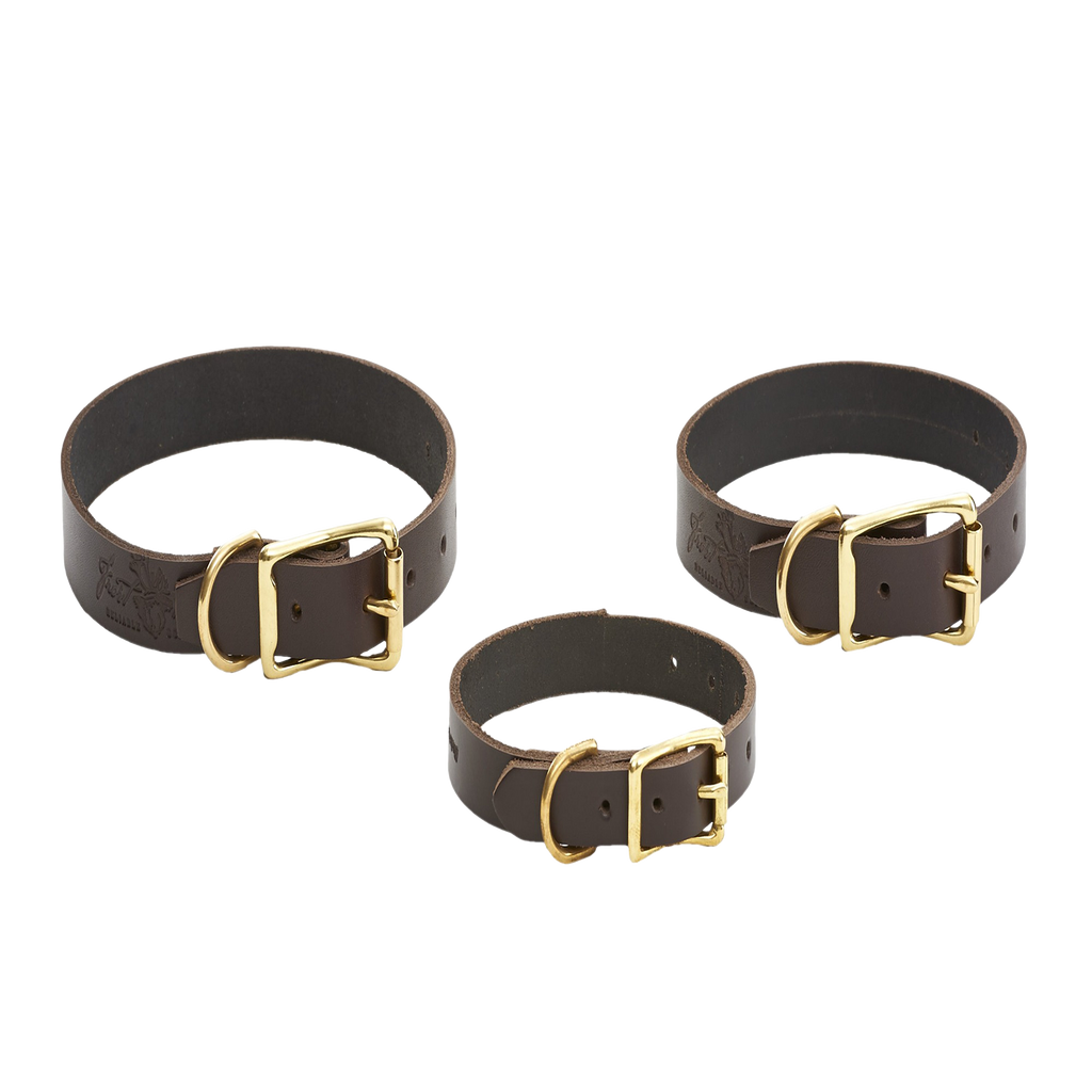 Handcrafted dog collar made with premium leather and solid brass, and available in four sizes.