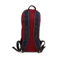 Americana High Falls Short-Day Pack